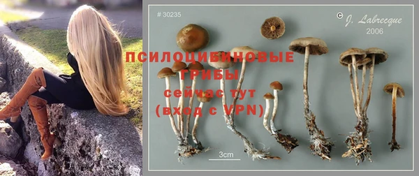 COCAINE Осинники