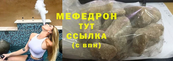 сатива Няндома
